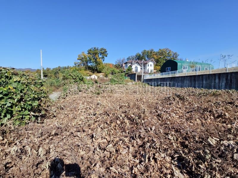 양평군 양서면 대심리 강조망 과 접근성이 좋은 토지_4