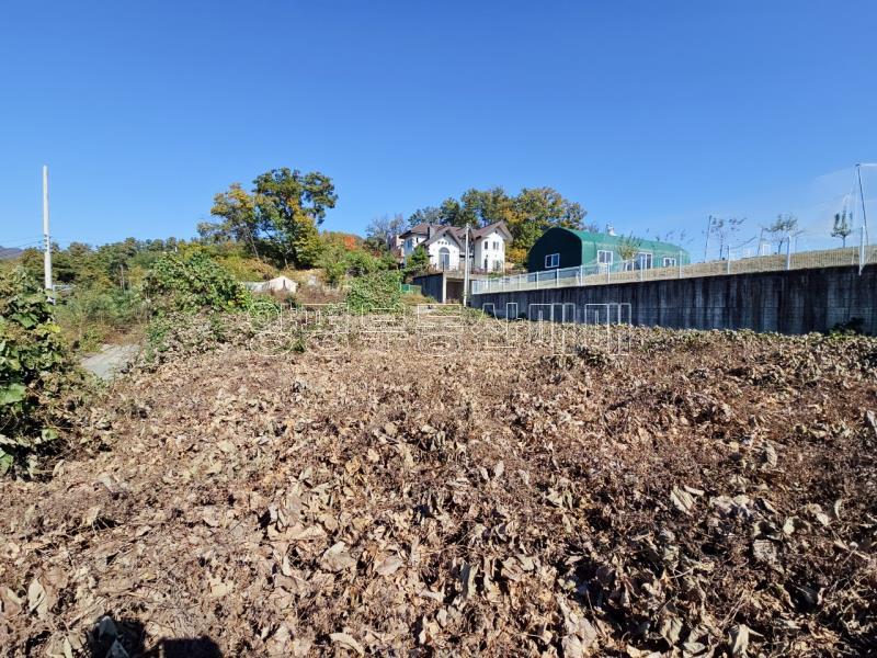 양평군 양서면 대심리 강조망 과 접근성이 좋은 토지_5