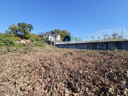 양평군 양서면 대심리 강조망 과 접근성이 좋은 토지_썸네일_6