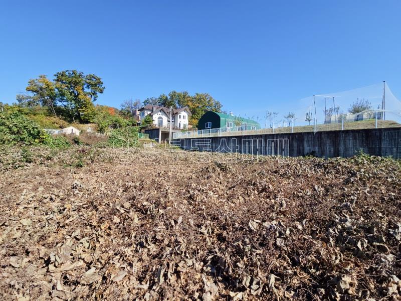 양평군 양서면 대심리 강조망 과 접근성이 좋은 토지_6