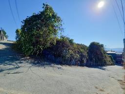 양평군 양서면 대심리 강조망 과 접근성이 좋은 토지_썸네일_8