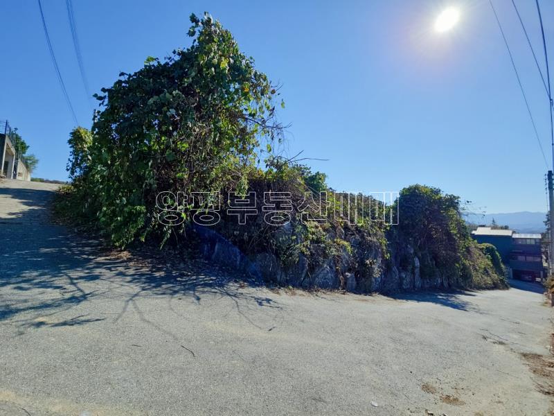 양평군 양서면 대심리 강조망 과 접근성이 좋은 토지_8