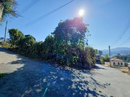 양평군 양서면 대심리 강조망 과 접근성이 좋은 토지_썸네일_9