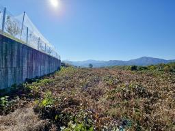 양평군 양서면 대심리 강조망 과 접근성이 좋은 토지_썸네일_10