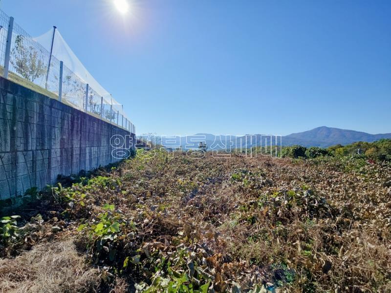 양평군 양서면 대심리 강조망 과 접근성이 좋은 토지_10
