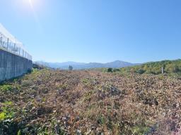 양평군 양서면 대심리 강조망 과 접근성이 좋은 토지