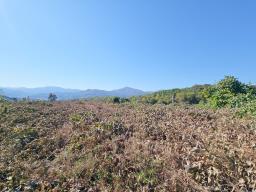 양평군 양서면 대심리 강조망 과 접근성이 좋은 토지_썸네일_12