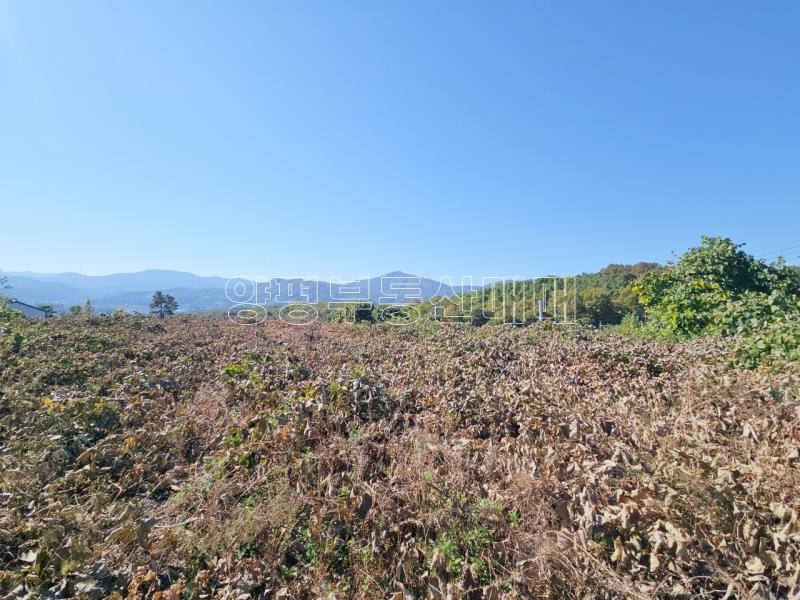 양평군 양서면 대심리 강조망 과 접근성이 좋은 토지_12