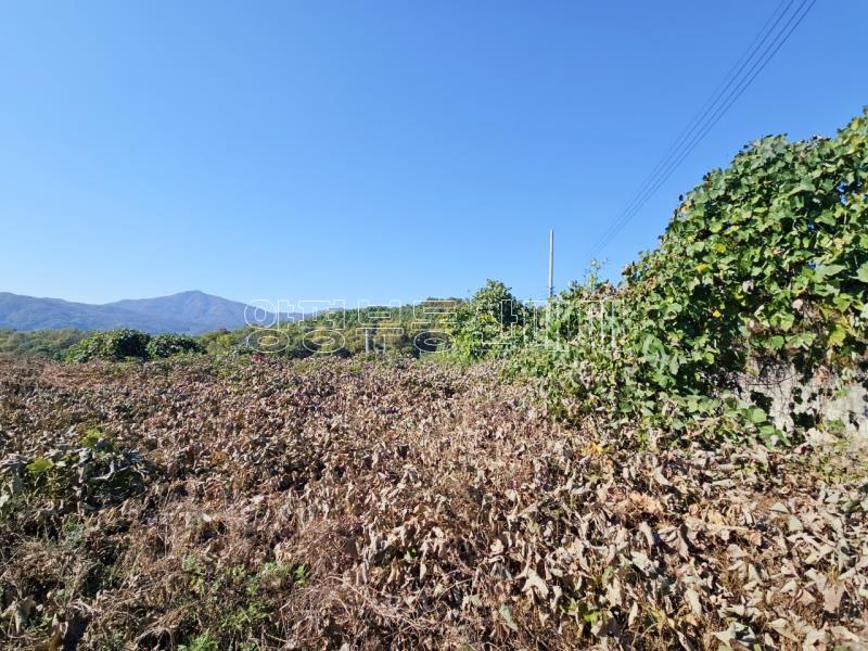 양평군 양서면 대심리 강조망 과 접근성이 좋은 토지_13