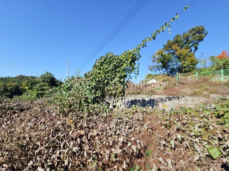 양평군 양서면 대심리 강조망 과 접근성이 좋은 토지_14