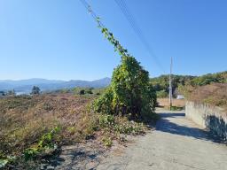 양평군 양서면 대심리 강조망 과 접근성이 좋은 토지_썸네일_17