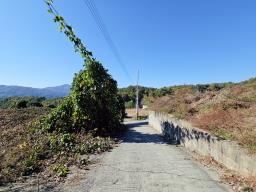 양평군 양서면 대심리 강조망 과 접근성이 좋은 토지_썸네일_18