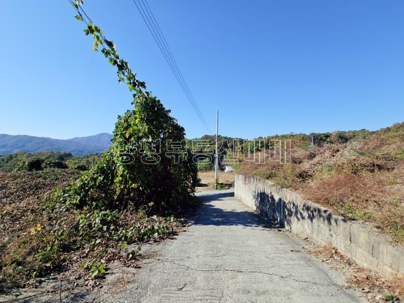 양평군 양서면 대심리 강조망 과 접근성이 좋은 토지_18