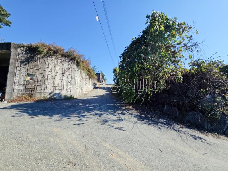 양평군 양서면 대심리 강조망 과 접근성이 좋은 토지_19