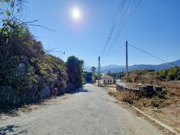 양평군 양서면 대심리 강조망 과 접근성이 좋은 토지_썸네일_20