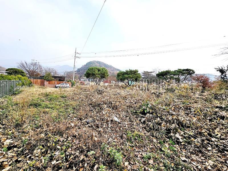 양평군 옥천면 용천리 2차선변 토지_6