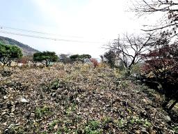 양평군 옥천면 용천리 2차선변 토지_썸네일_7