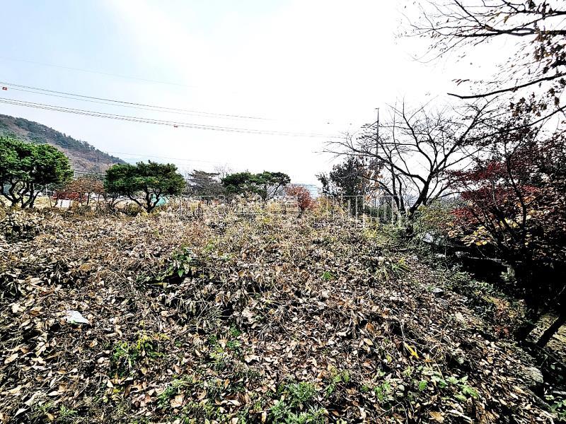 양평군 옥천면 용천리 2차선변 토지_7