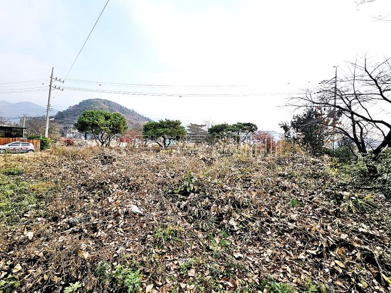 양평군 옥천면 용천리 2차선변 토지_8