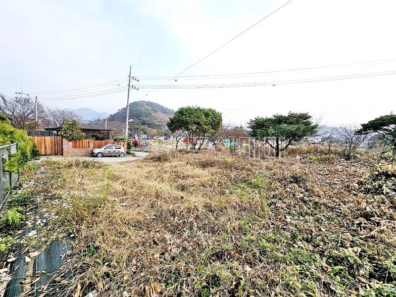 양평군 옥천면 용천리 2차선변 토지_9