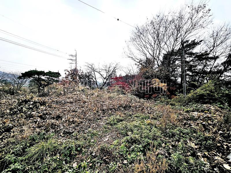 양평군 옥천면 용천리 2차선변 토지_10