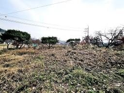 양평군 옥천면 용천리 2차선변 토지_썸네일_11