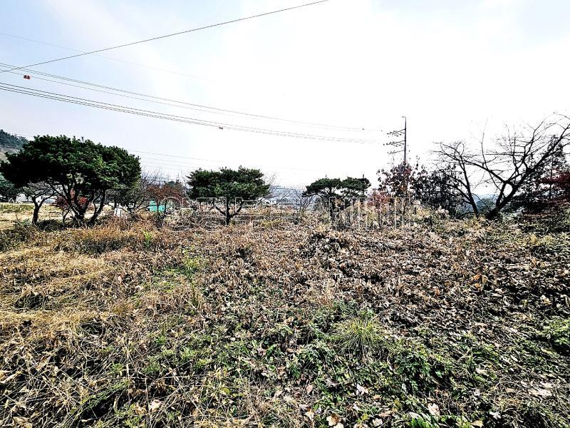 양평군 옥천면 용천리 2차선변 토지_11