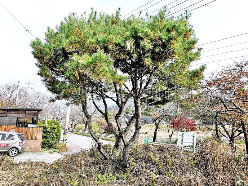 양평군 옥천면 용천리 2차선변 토지_16