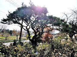 양평군 옥천면 용천리 2차선변 토지_썸네일_17