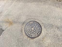 양평군 옥천면 아신리 전철과 i.c와 6번국도가 인접한 게획관리토지_썸네일_21