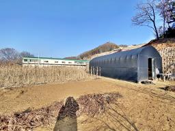 양평군 양서면 부용리 접근성 좋은 넓은토지 작은관리사 있음_썸네일_10