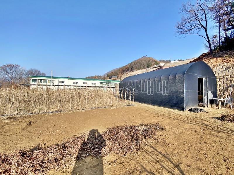 양평군 양서면 부용리 접근성 좋은 넓은토지 작은관리사 있음_10