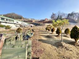 양평군 양서면 부용리 접근성 좋은 넓은토지 작은관리사 있음_썸네일_15