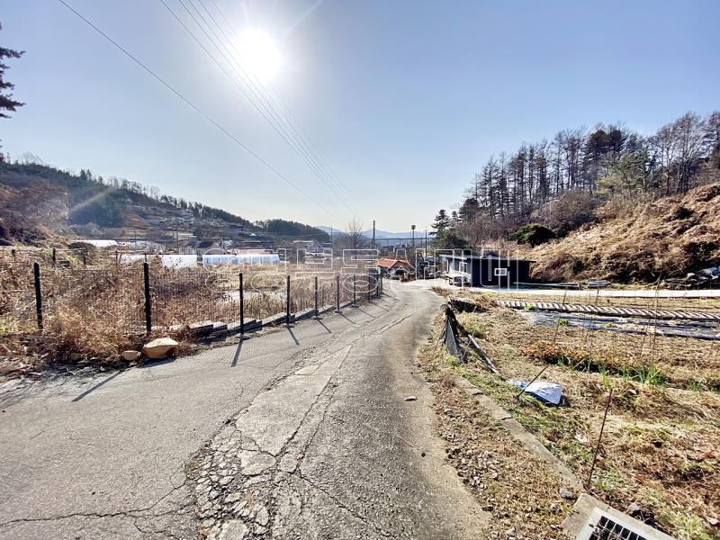 양평군 양서면 증동리 맹지(길이없음>)_1