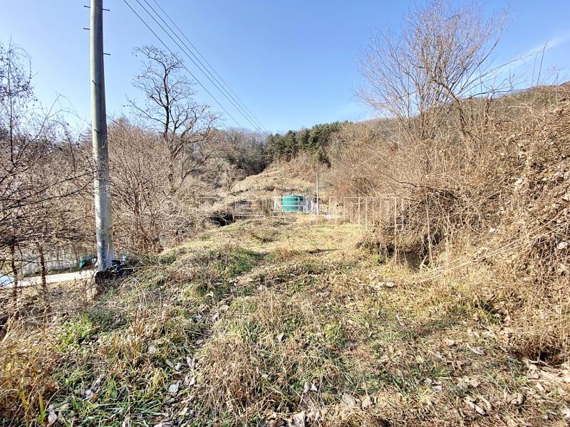 양평군 양서면 증동리 맹지(길이없음>)_2