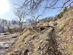 양평군 양서면 증동리 맹지(길이없음>)_썸네일_5