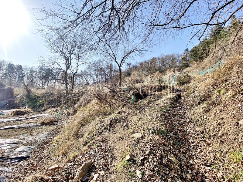 양평군 양서면 증동리 맹지(길이없음>)_5