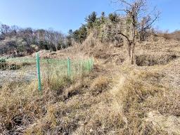 양평군 양서면 증동리 맹지(길이없음>)_썸네일_6