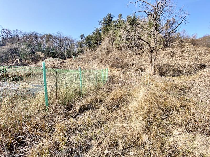 양평군 양서면 증동리 맹지(길이없음>)_6