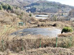 양평군 양서면 증동리 맹지(길이없음>)_썸네일_7