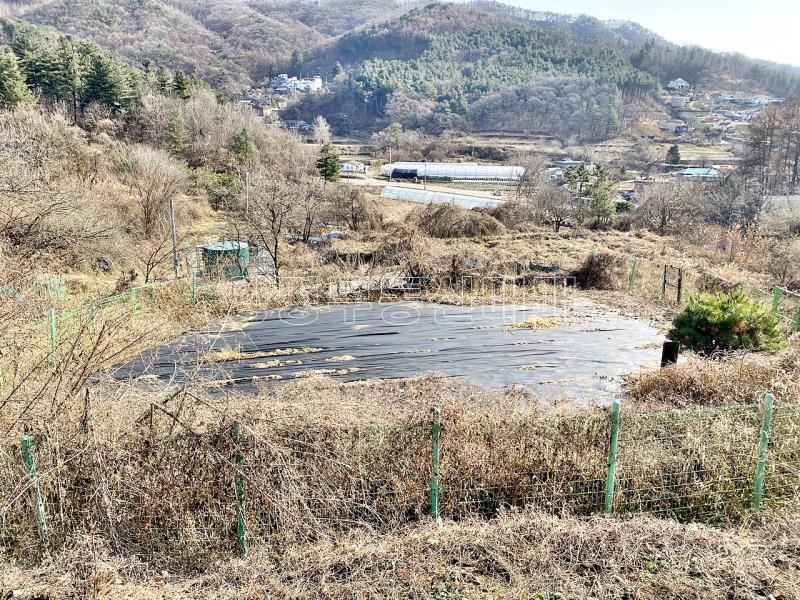 양평군 양서면 증동리 맹지(길이없음>)_7