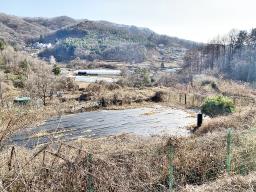 양평군 양서면 증동리 맹지(길이없음>)