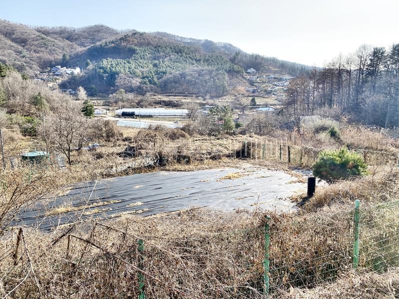 양평군 양서면 증동리 맹지(길이없음>)_8