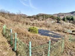 양평군 양서면 증동리 맹지(길이없음>)_썸네일_9