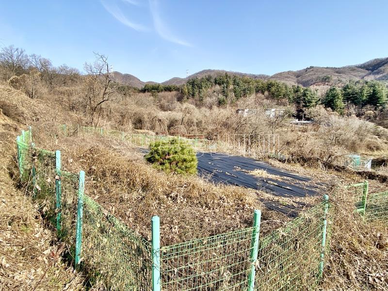 양평군 양서면 증동리 맹지(길이없음>)_9