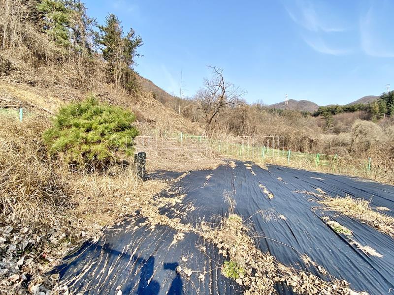 양평군 양서면 증동리 맹지(길이없음>)_10