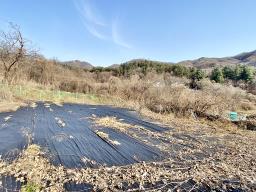 양평군 양서면 증동리 맹지(길이없음>)_썸네일_11