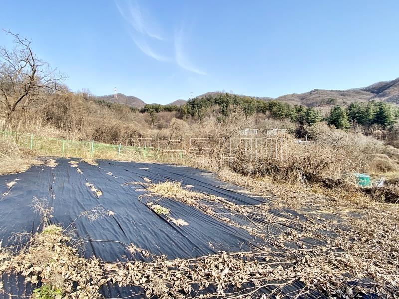 양평군 양서면 증동리 맹지(길이없음>)_11