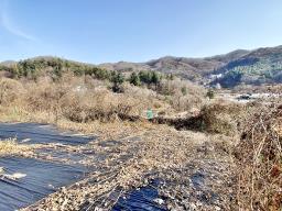 양평군 양서면 증동리 맹지(길이없음>)_썸네일_12