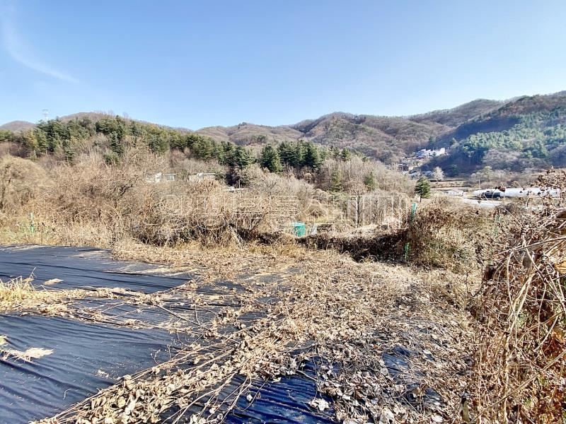 양평군 양서면 증동리 맹지(길이없음>)_12